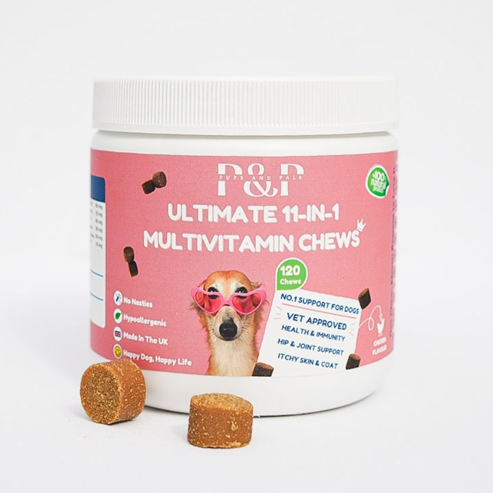 Natural Dog Supplements