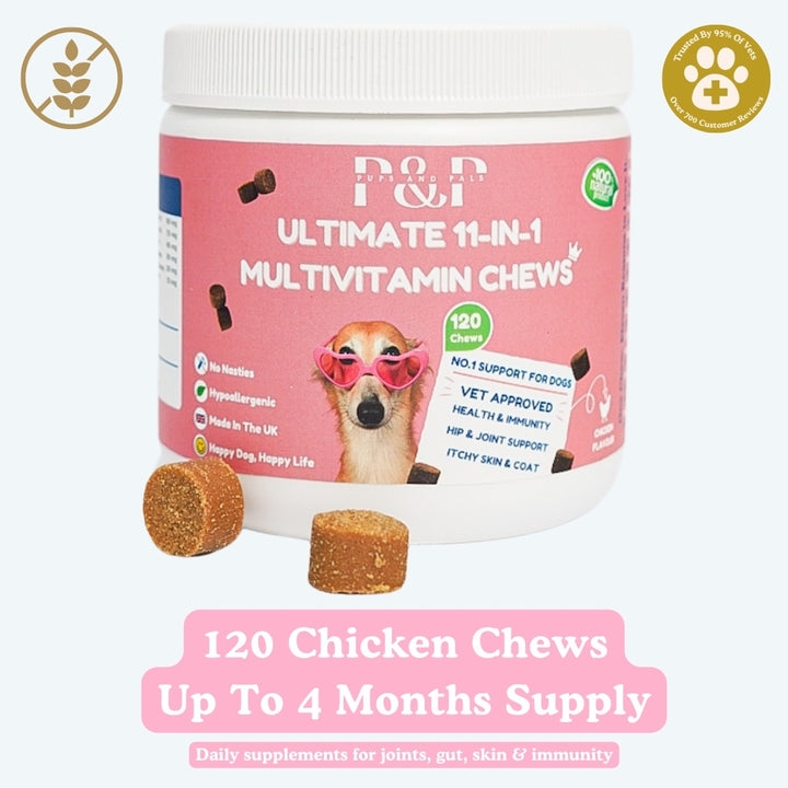 Chicken Dog Supplements