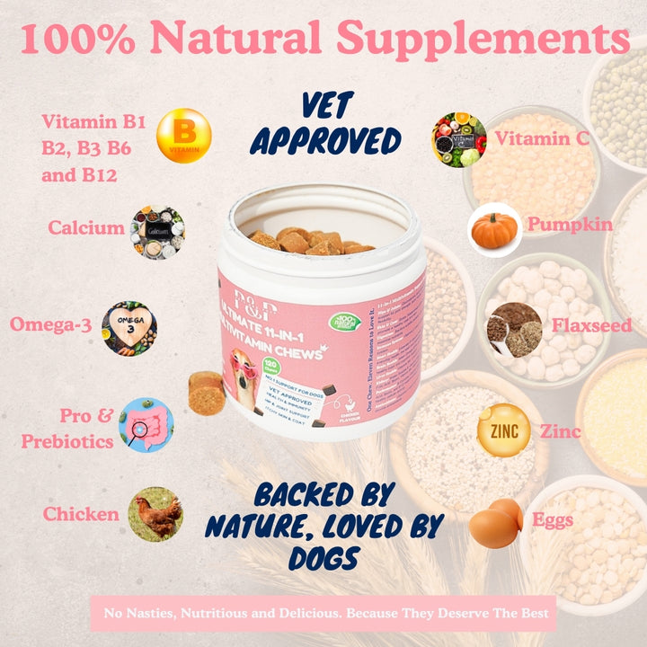 Vet Approved Supplements