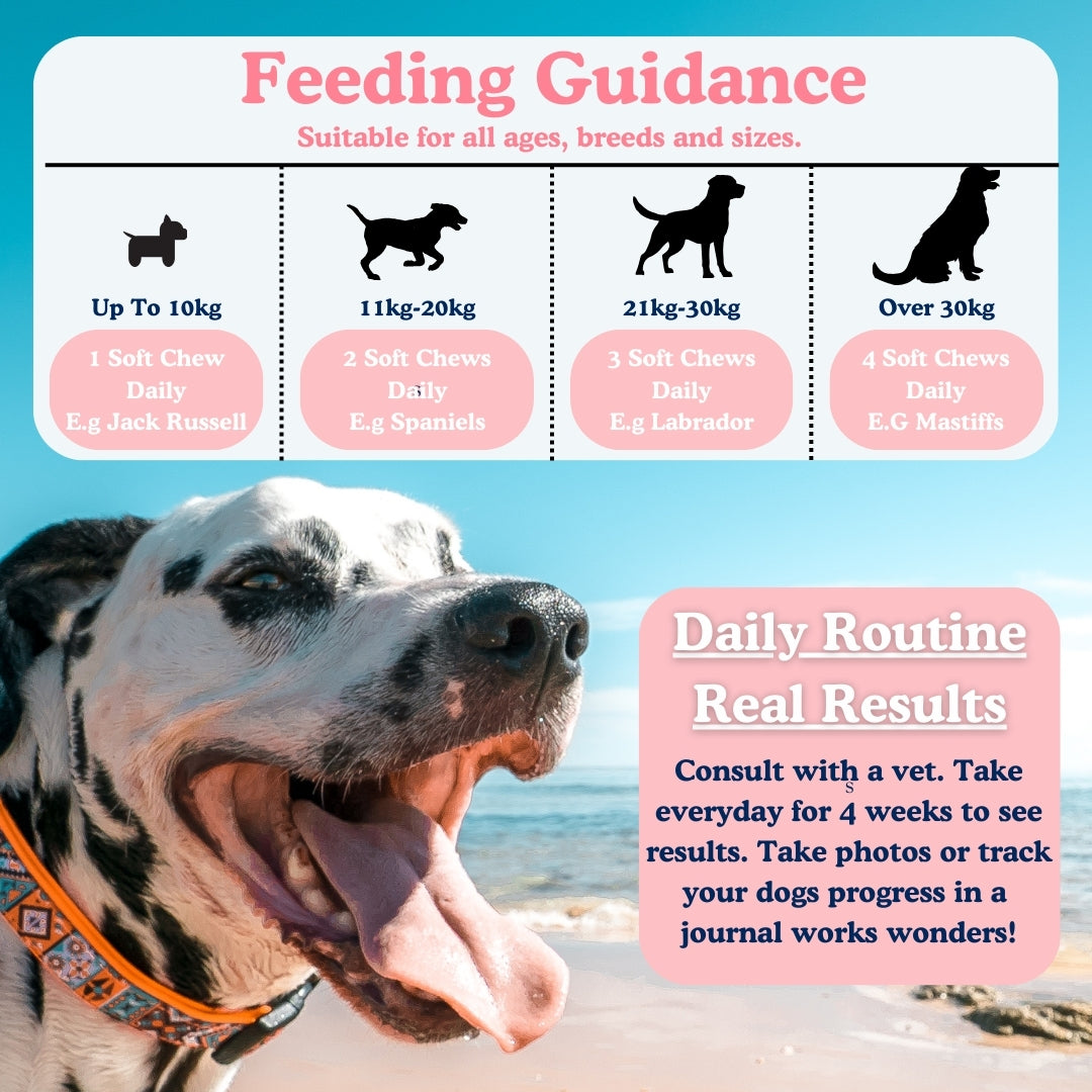 Dog Supplements Feeding Guide