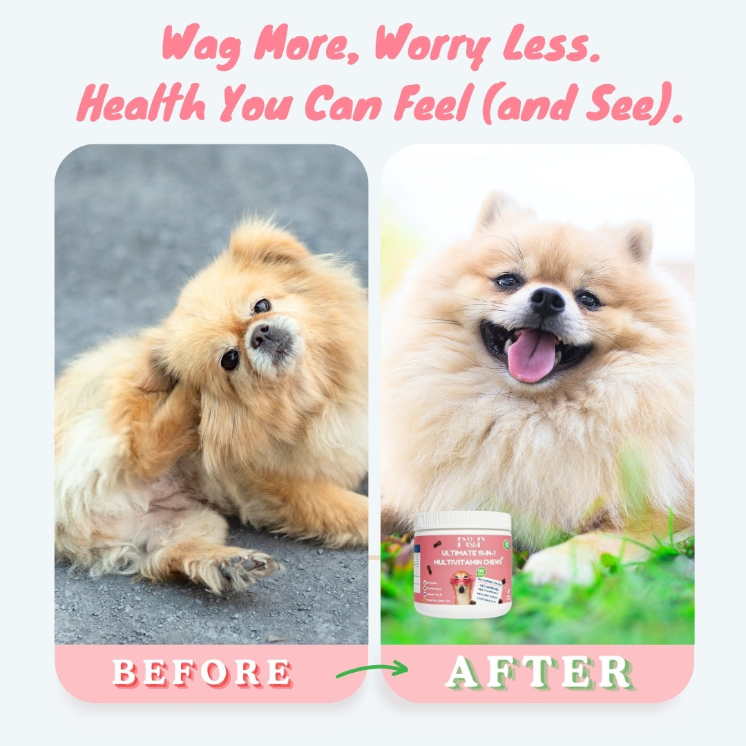 Before and After Supplements