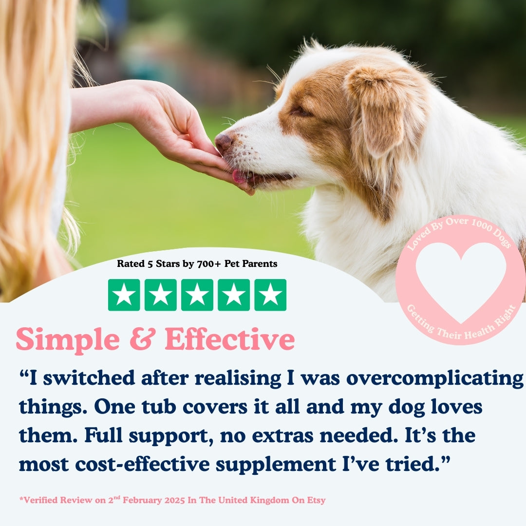 Supplement Reviews