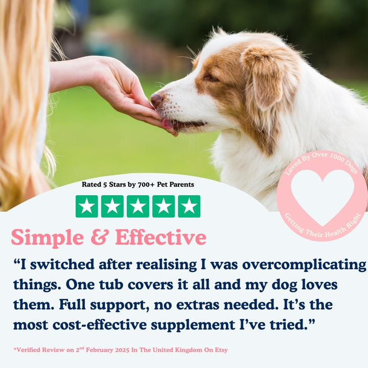 Supplement Reviews