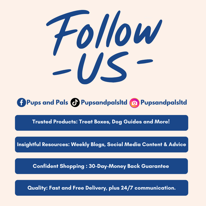 Follow Pups and Pals on Instagram for exclusive deals on long-lasting dog chews! 