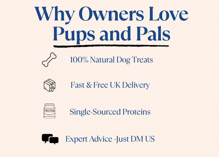 Follow Pups and Pals on Instagram for exclusive deals on long-lasting dog chews! 